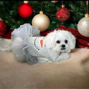 Gorgeous & cozy Christmas Dog Dress, size medium